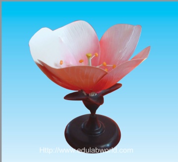 peach flower model