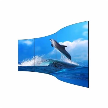 55 Inch Flexible Curved OLED Display